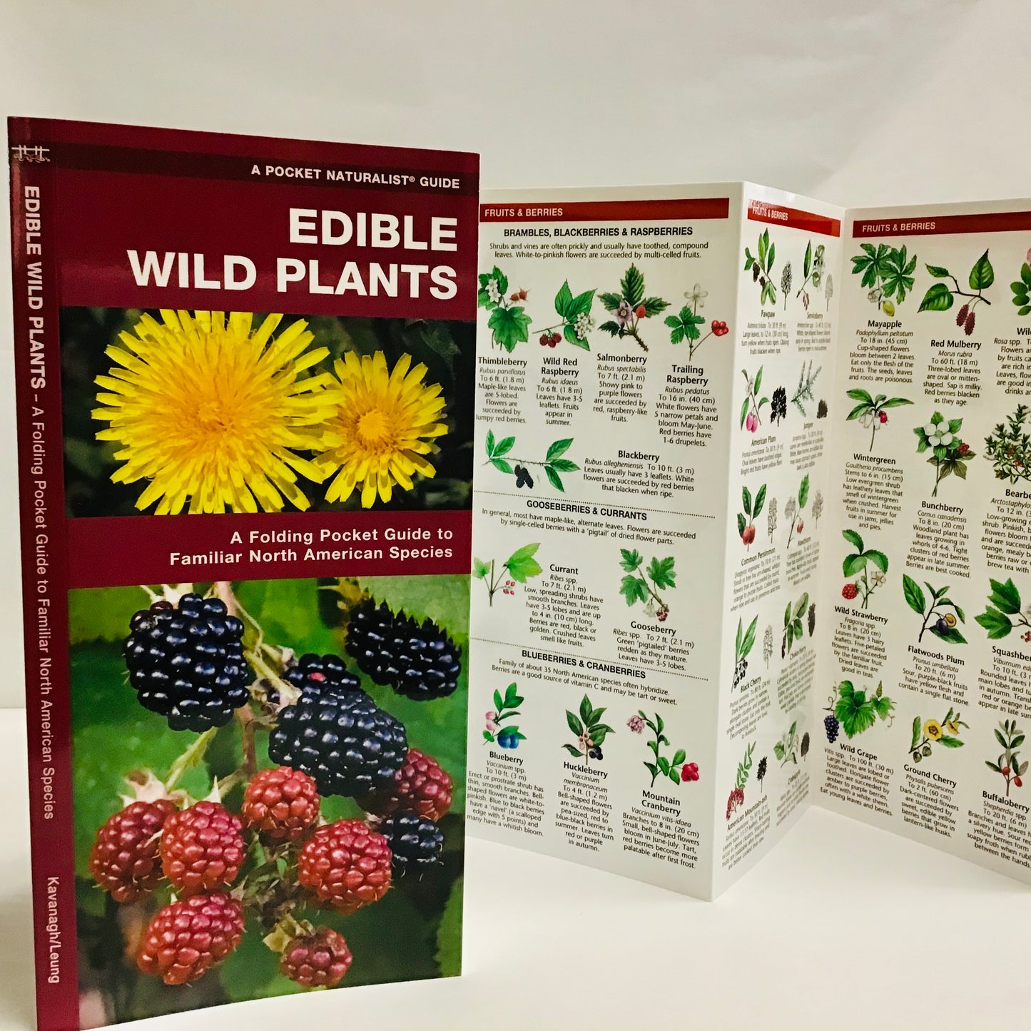 Edible Wild Plants (Pocket Naturalist® Guide)