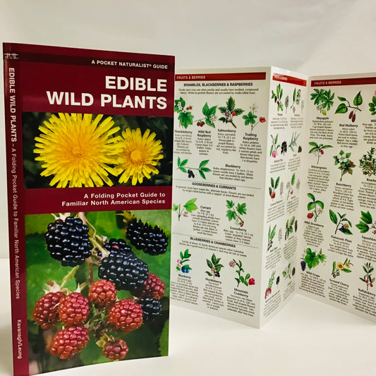 Edible Wild Plants (Pocket Naturalist® Guide)