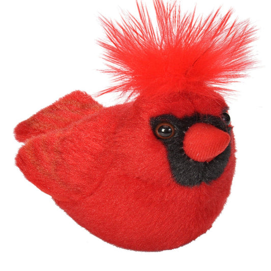 Audubon - Northern Cardinal