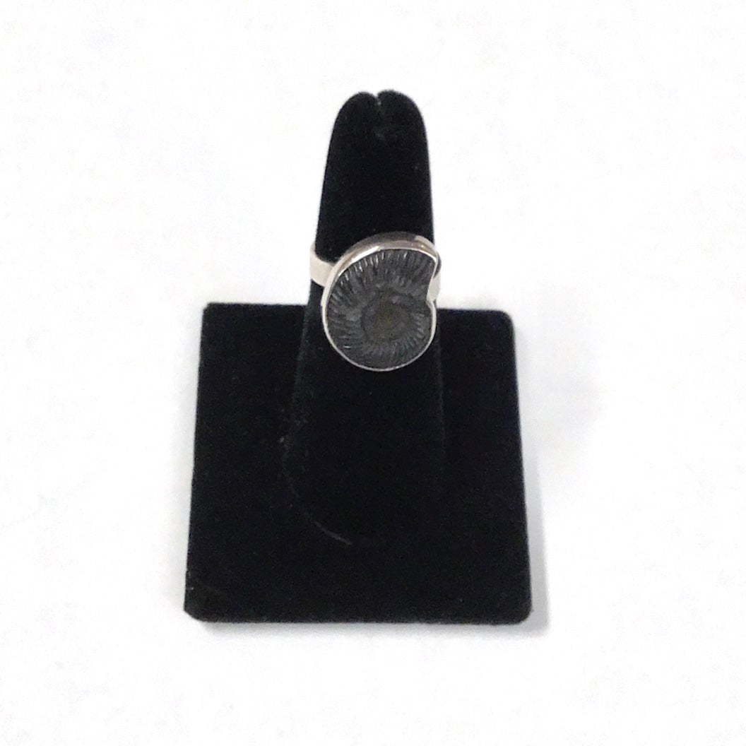 Counter Clockwise Swirl Ammonite Silver Ring