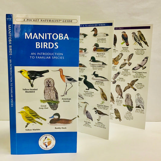 Manitoba Birds (Pocket Naturalist® Guide)