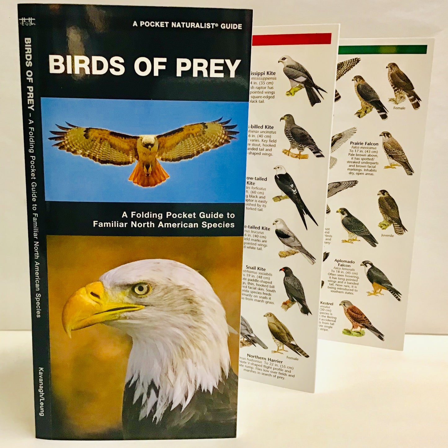 Birds of Prey  (Pocket Naturalist® Guide)