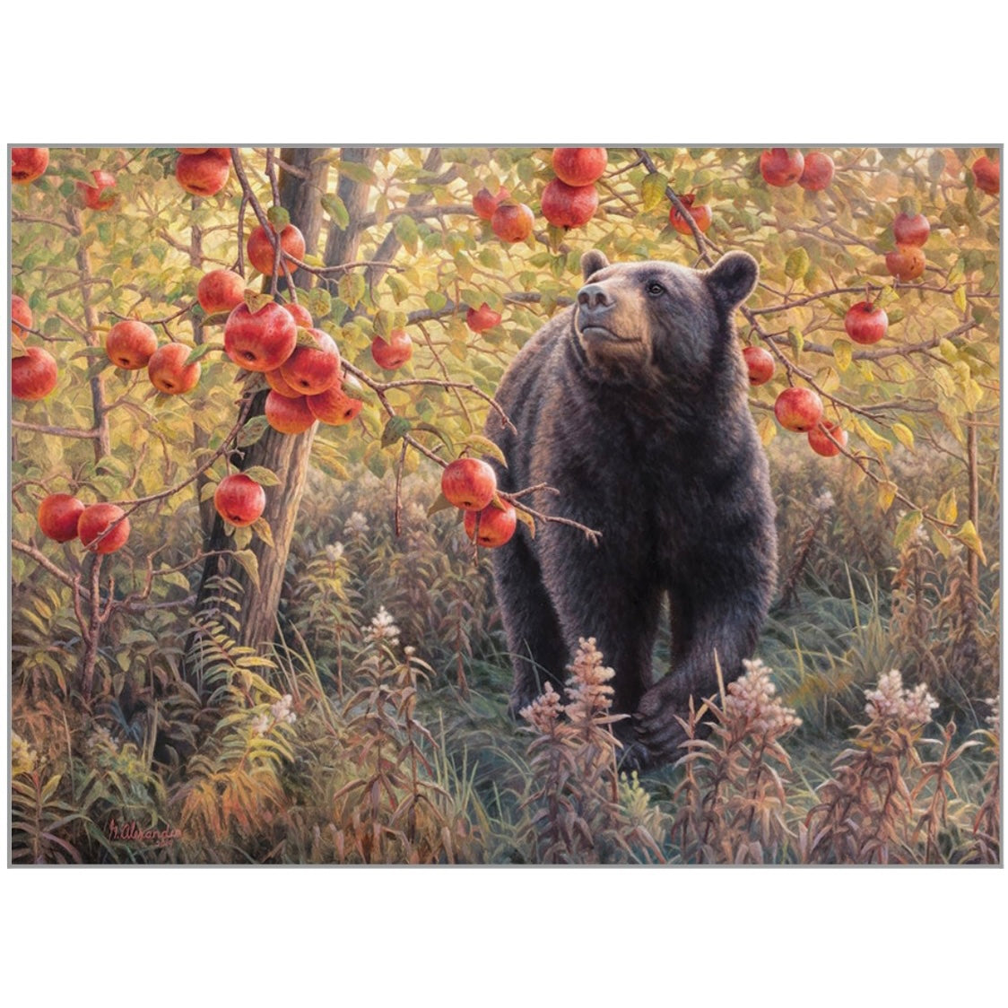 Cobble Hill 500 pc. Puzzle - Den Dreams