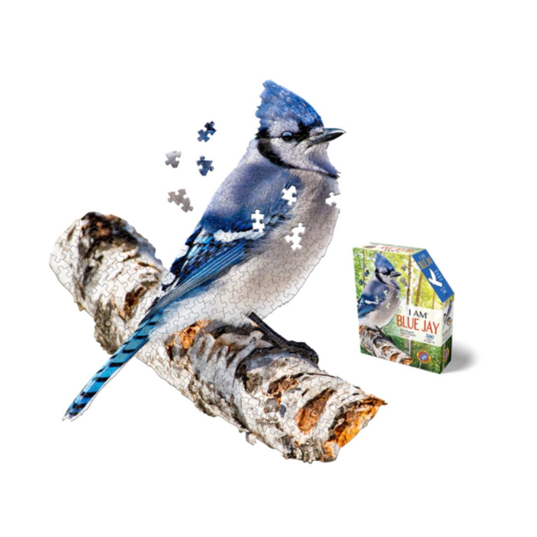 I am Blue Jay Puzzle