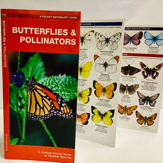 Butterflies & Pollinators (Pocket Naturalist® Guide)