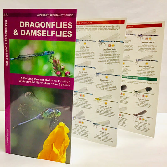 Dragonflies & Damselflies (Pocket Naturalist® Guide)