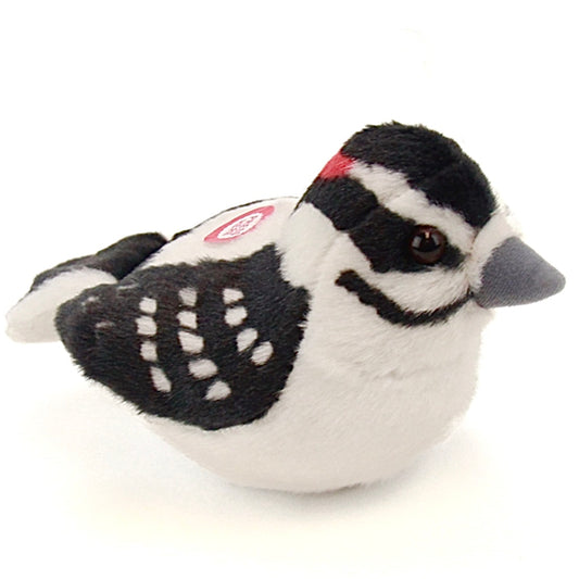Audubon - Downy Woodpecker