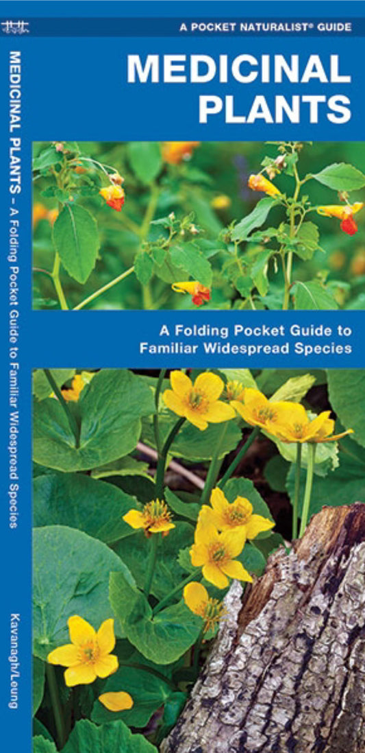 Medicinal Plants (Pocket Naturalist® Guide)