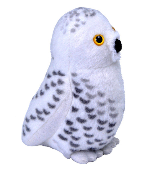 Audubon - Snowy Owl