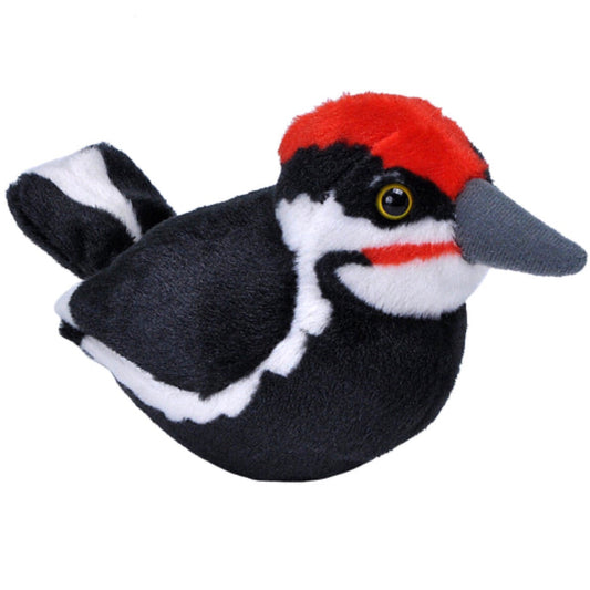 Audubon - Pileated Woodpecker