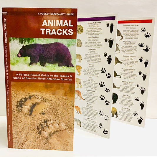 Animal Tracks (Pocket Naturalist® Guide)