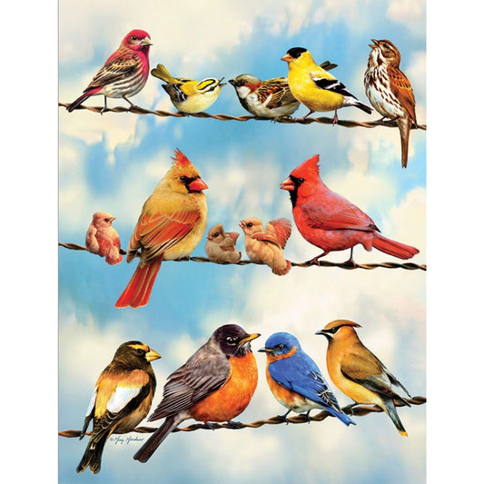Cobble Hill 500 pc. Puzzle - Birds on a Wire